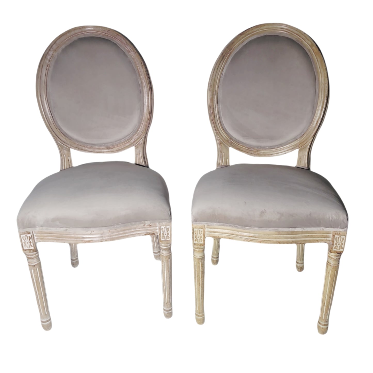King Louie XVI Velvet Medallion Chairs (Set of 2)